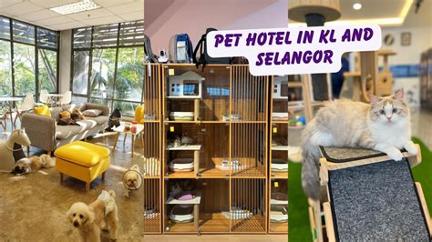THE BEST Peto Hotels .